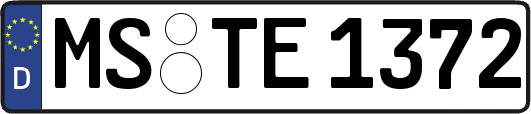 MS-TE1372