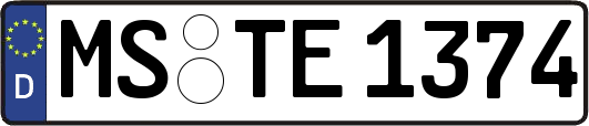 MS-TE1374