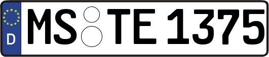 MS-TE1375
