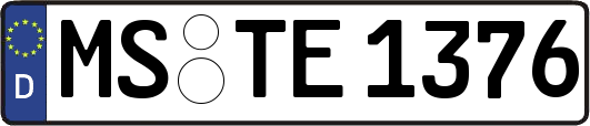 MS-TE1376