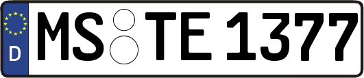 MS-TE1377
