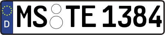 MS-TE1384