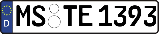 MS-TE1393
