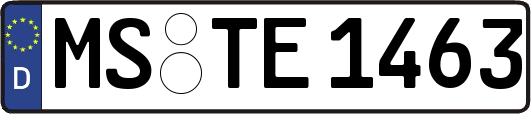 MS-TE1463