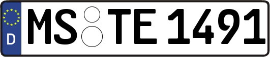 MS-TE1491