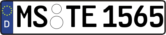 MS-TE1565