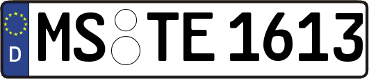 MS-TE1613