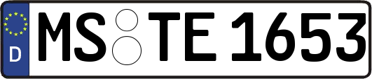 MS-TE1653