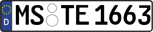MS-TE1663