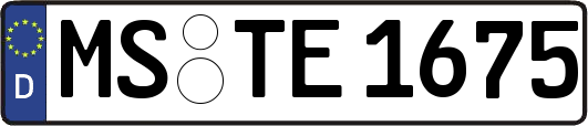 MS-TE1675