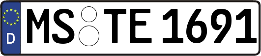MS-TE1691