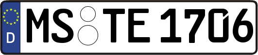 MS-TE1706