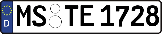 MS-TE1728