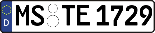 MS-TE1729