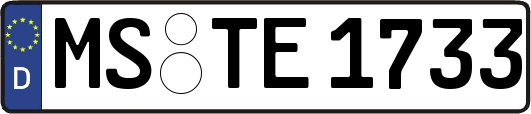 MS-TE1733