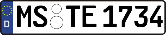 MS-TE1734
