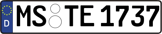 MS-TE1737