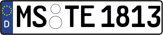 MS-TE1813