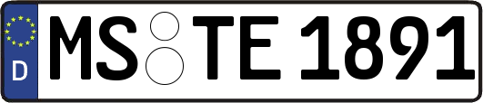 MS-TE1891