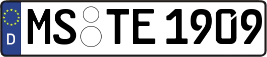 MS-TE1909