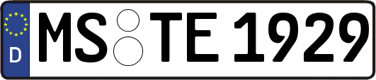 MS-TE1929