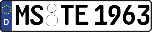MS-TE1963