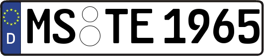 MS-TE1965