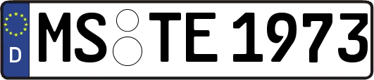 MS-TE1973
