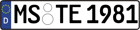 MS-TE1981
