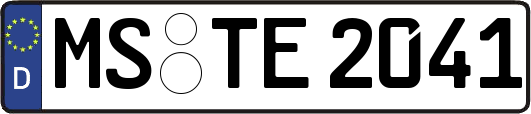 MS-TE2041