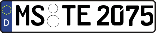 MS-TE2075