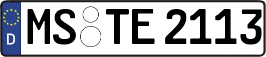 MS-TE2113