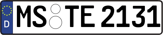 MS-TE2131
