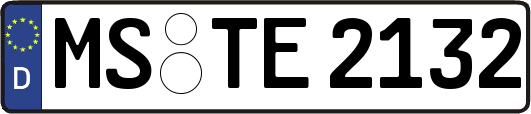 MS-TE2132