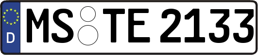 MS-TE2133