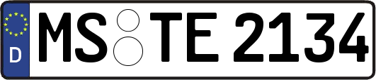 MS-TE2134