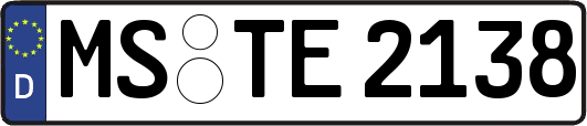 MS-TE2138