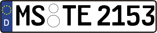 MS-TE2153