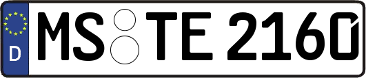 MS-TE2160