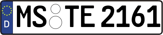 MS-TE2161