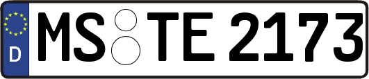 MS-TE2173