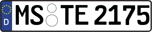 MS-TE2175