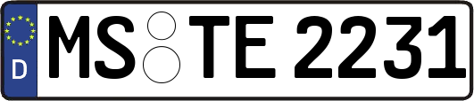 MS-TE2231