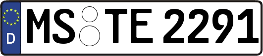 MS-TE2291