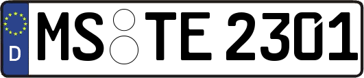 MS-TE2301