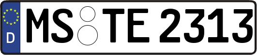 MS-TE2313