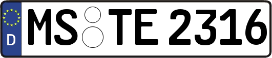 MS-TE2316