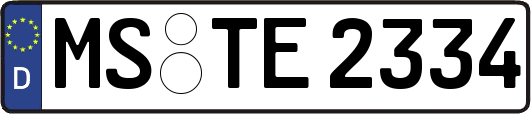 MS-TE2334