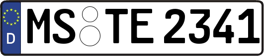 MS-TE2341