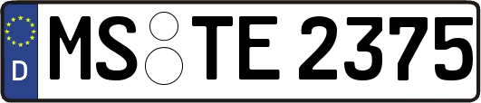 MS-TE2375
